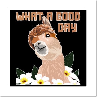 What A Good Day Llama Vicuna Guanaco Breeder Alpaca Posters and Art